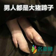 男人都是大猪蹄子是什么梗什么意思 男人都是大猪