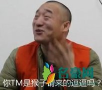 你是猴子请来的逗比吗是什么梗什么意思 你是猴子