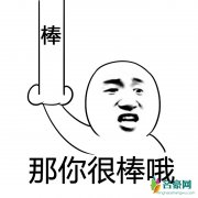 那你很棒哦是什么梗什么意思 那你很棒哦的出处在