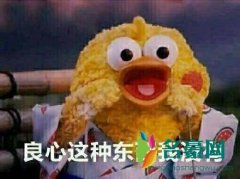 你的良心不会痛吗是什么梗什么意思 你的良心不会