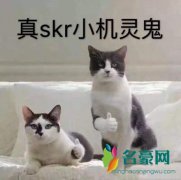 你真是个小机灵鬼是什么梗什么意思 你真是个小机
