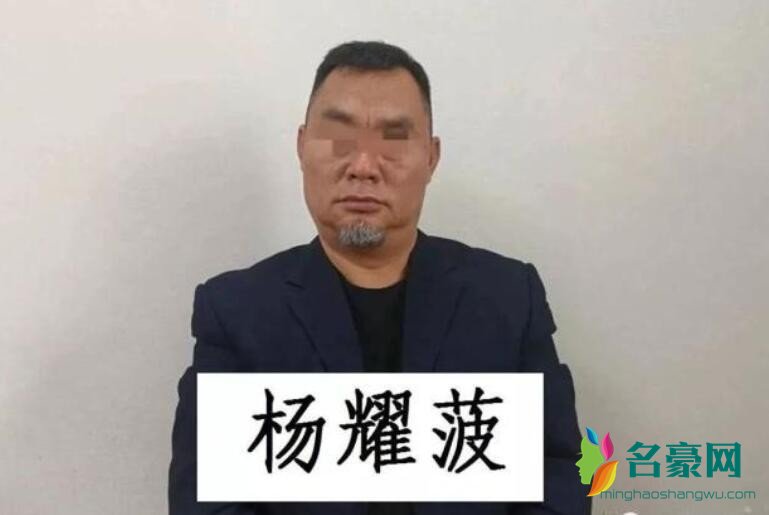 杨耀菠被逮捕