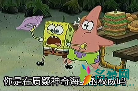 你问什么不问问神奇海螺呢是什么梗5