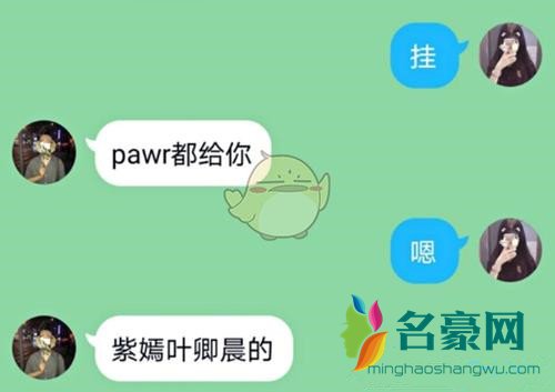 pawr都给你是什么意思网络用语1