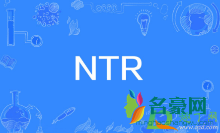 ntr是什么意思梗3