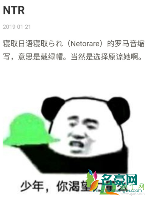 ntr是什么意思梗2