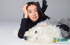 木村光希与爱犬合照 妆容精致好看美出新高度