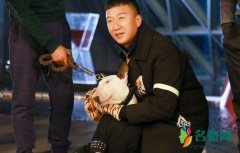 孙红雷女儿叫爸爸 语言中充满了深情