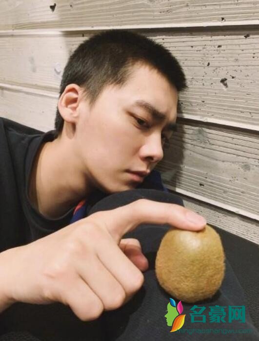 李易峰猕猴桃发型