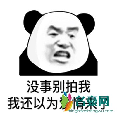 微信拍一拍表情包带字无水印4