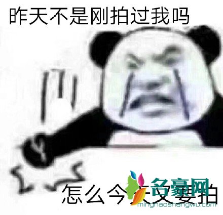 微信拍一拍表情包带字无水印1