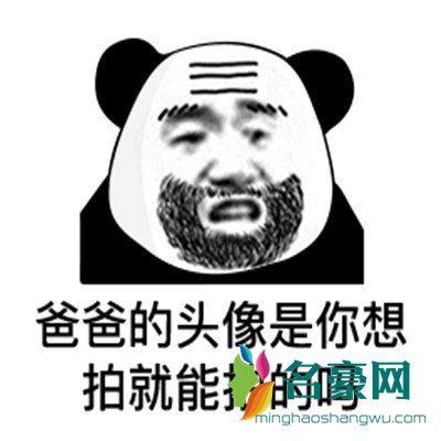 微信拍一拍表情包带字无水印3