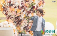 三十而已许子言扮演者 四岁童星陈天雨是不是混血