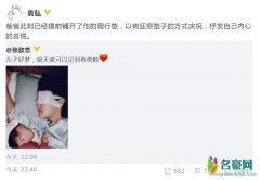 张歆艺将带儿子探班 袁弘以疯狂擦垫子的方式庆祝