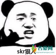 skr狼人是什么梗什么意思 skr狼人出处在哪相关例句