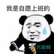 社畜是什么梗什么意思 社畜出处在哪及相关段子