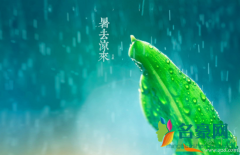 2020立秋后天气怎么样 立秋后的天气特征