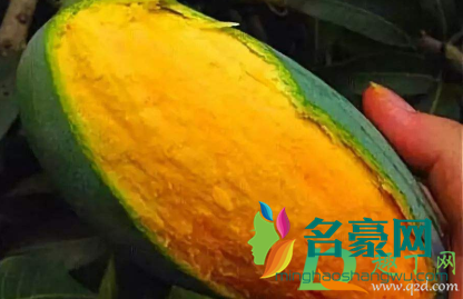 芒果果皮表面有疙瘩能吃吗4
