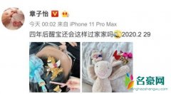 章子怡陪醒醒过家家 夫妇二人耐心陪女儿玩耍画面