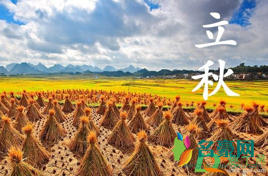 2020年立秋在几伏1