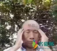 土味是什么梗什么意思 土味出处在哪