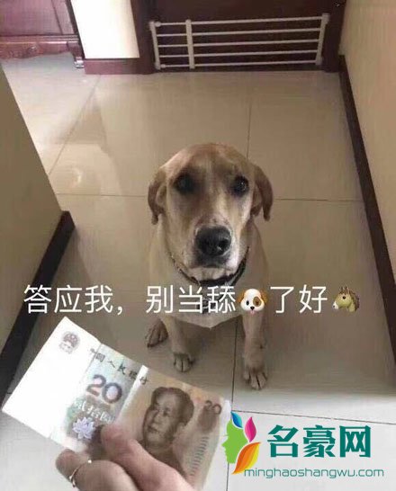 舔狗舔到最后一无所有表情包