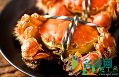 黄油蟹几月份最肥美 黄油蟹是怎么样形成的
