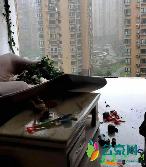 台风天是关窗好还是通风好2
