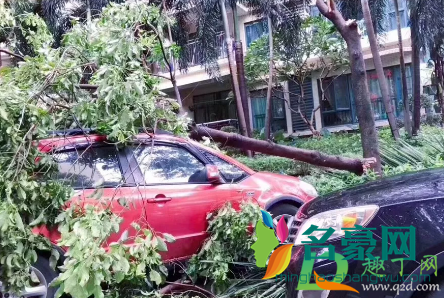 台风天车被树砸了保险赔吗1
