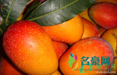 吃了芒果嘴唇上长颗粒怎么办4