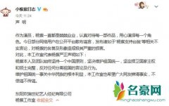 杨紫发声明谴责不实言论 只因为新剧被质疑台独