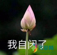 我自闭了是什么梗什么意思 我自闭了出处在哪