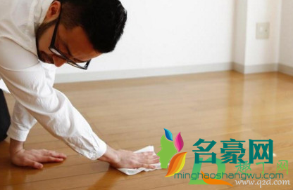 家里放什么可以驱蜘蛛3
