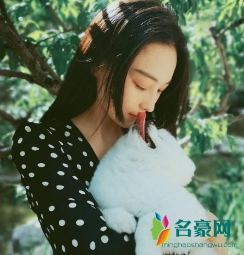 张馨予