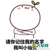 小仙女是什么梗什么意思 小仙女出处在哪