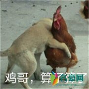 xxj是什么梗什么意思 xxj出处在哪