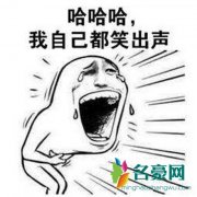 笑到头掉是什么梗什么意思 笑到头掉出处在哪