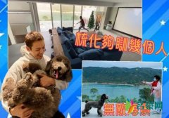 陈伟霆豪宅内景曝光 与狗狗在客厅追逐面积超大