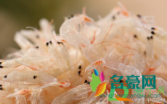 超市买的干虾米直接吃可以吗 干虾米怎么保存时间