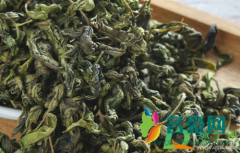 丁香茶可以去口臭吗 丁香桂花茶去口臭几天有效