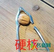 硬核是什么梗什么意思 硬核出处在哪