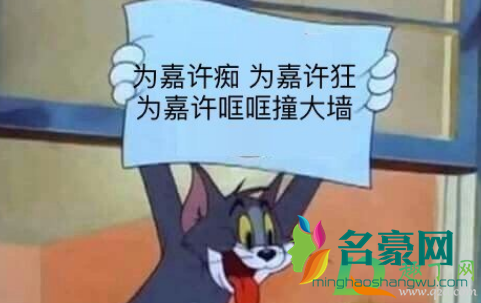 段嘉许是什么梗3