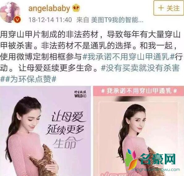 杨颖拍广告帮倒忙