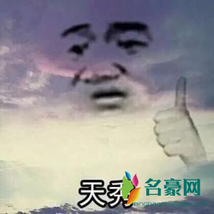 天秀表情包