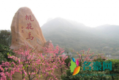 舟山桃花岛船票怎么买