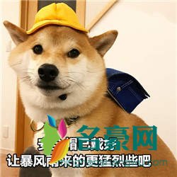 2020七夕单身狗表情包图片大全10