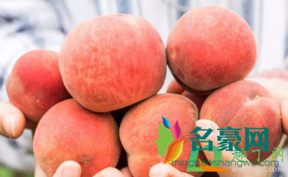 桃子怎么放才甜3