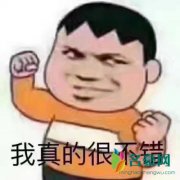 针不绰什么梗 茄子针不戳什么梗