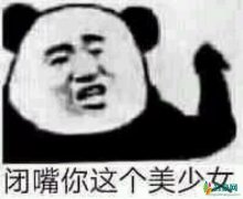 可惜不是个哑巴是什么梗什么意思