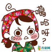 篮子是什么意思什么梗